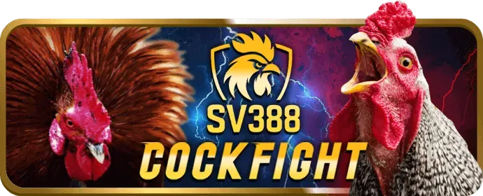 Phân tích ưu đãi 777vin777